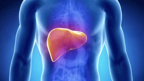liver detox Picture Box