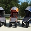 BOB Motion Stroller - Picture Box