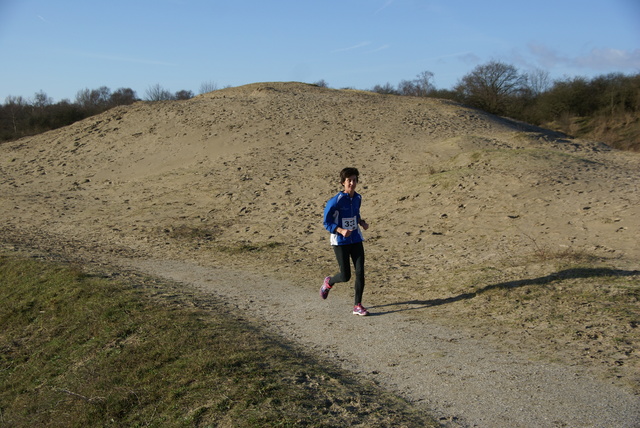 DSC05394 Halve van Westvoorne 4-1-2015