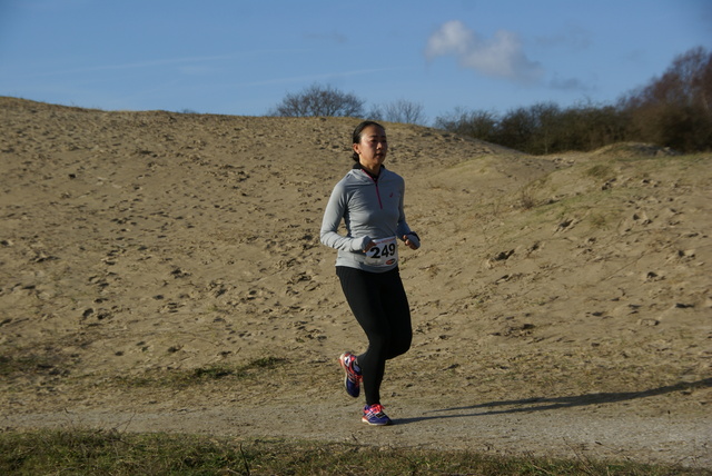 DSC05500 Halve van Westvoorne 4-1-2015