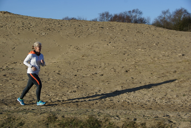 DSC05678 Halve van Westvoorne 4-1-2015