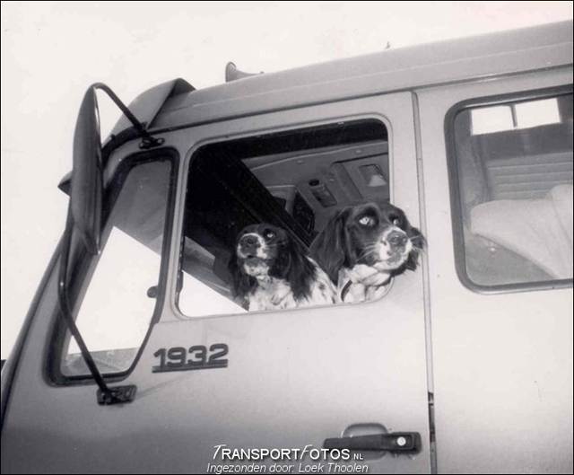 de twee honden-TF Ingezonden foto's 2014