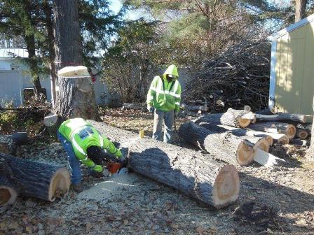 Stump Removal Picture Box