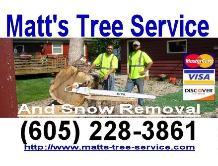 Tree Removal Picture Box
