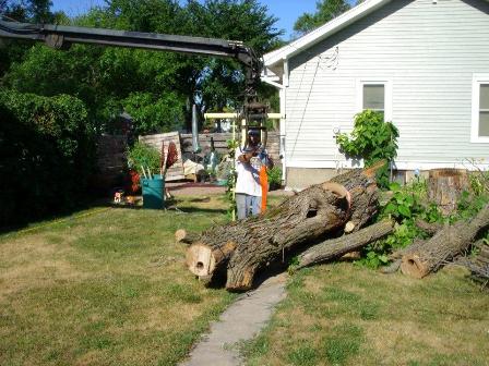 Tree Service Picture Box