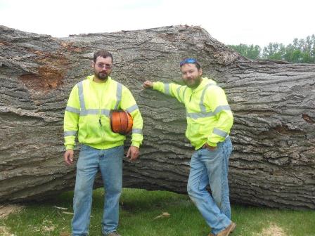 Tree Trimming Picture Box