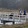 DSC07307 - Brielse Maasloop 1 maart 09