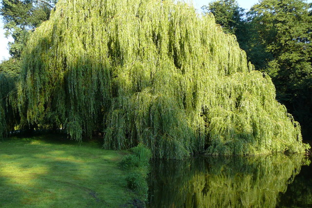 P1010680 Vondelpark