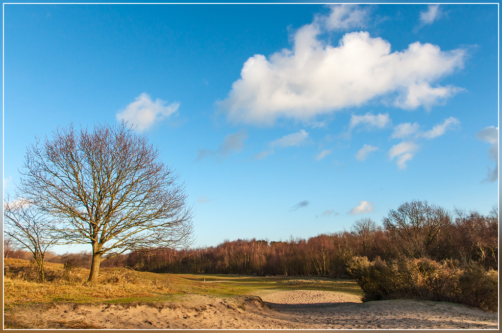  DSC9688 Zeepeduinen Boom en wolk - 