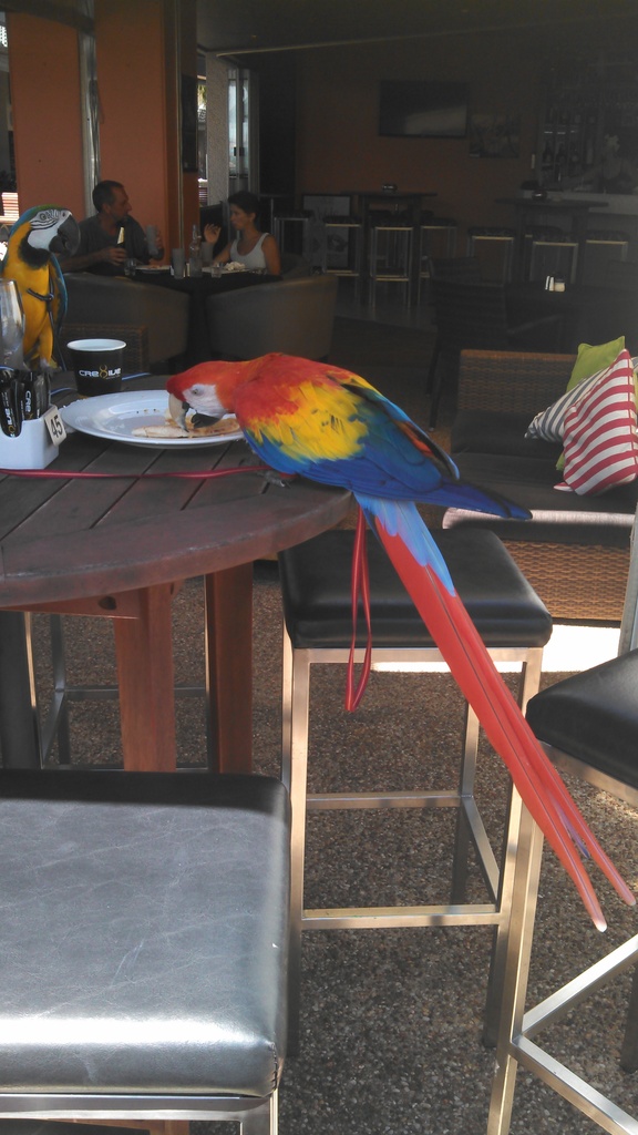 IMG 20150118 132101 690 - 