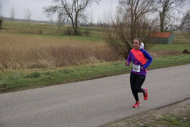 DSC06022 10 EM Voorne Atletiek Brielle 8-2-2015