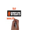 Need A Professional Site Built, Optimized, and Promoted? Call Sitecats Web Design
