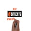 Need A Professional Site Bu... - Need A Professional Site Built, Optimized, and Promoted? Call Sitecats Web Design