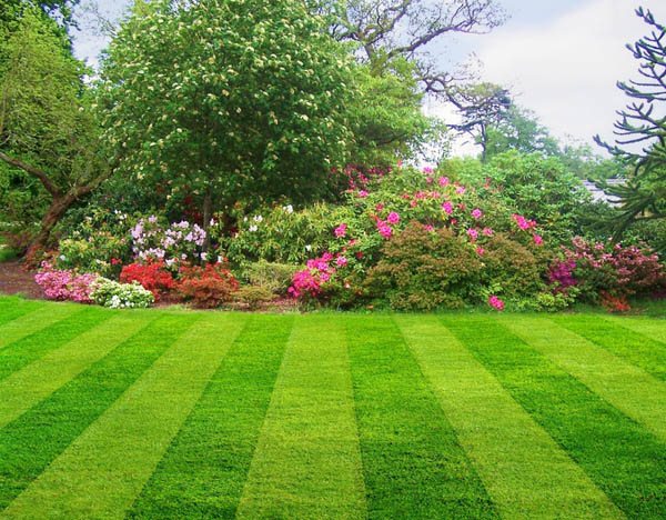 landscaping and lawn care landscaping and lawn care