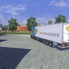 ets2 Scania 124L 420 4x2 + ... - prive skin ets2