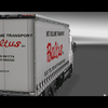 ets2 Daf XF 6x4 BDF Baltus ... - prive skin ets2