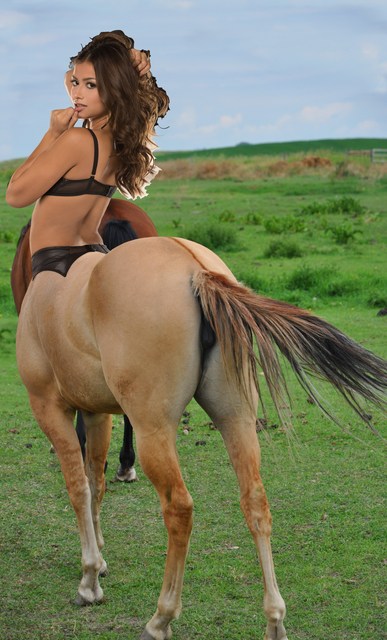 lifter2a Picture Box