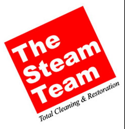 tile and grout cleaning The Steam Team