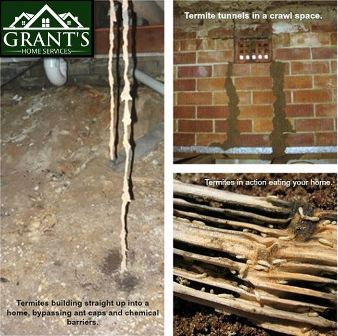 pest control richmond va Grant's Home Services Termite and Pest Control