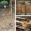 pest control richmond va - Grant's Home Services Termite and Pest Control