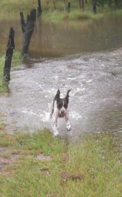 IMG 20150220 163040 - 