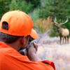 colorado elk hunting - colorado elk hunting