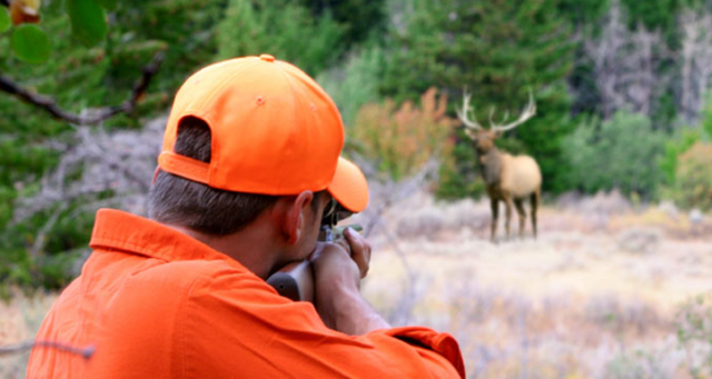 colorado elk hunting colorado elk hunting