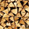 logs kiln dried