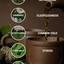 Herbal teas ginger tea, pep... - DietFormula.info