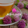 Red clover bring on the hea... - DietFormula
