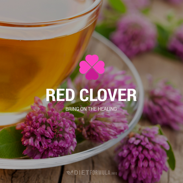 Red clover bring on the healing DietFormula.info