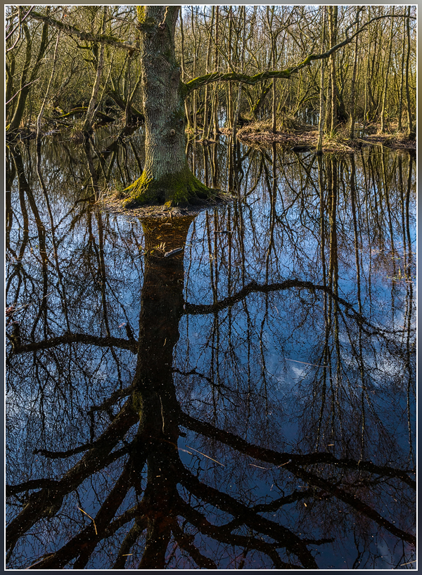  DSC0377 Natte voeten crop - 