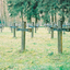 000032 - Analoog Vise