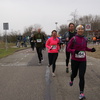 DSC06267 - Halve van Oostvoorne 14-3-2015