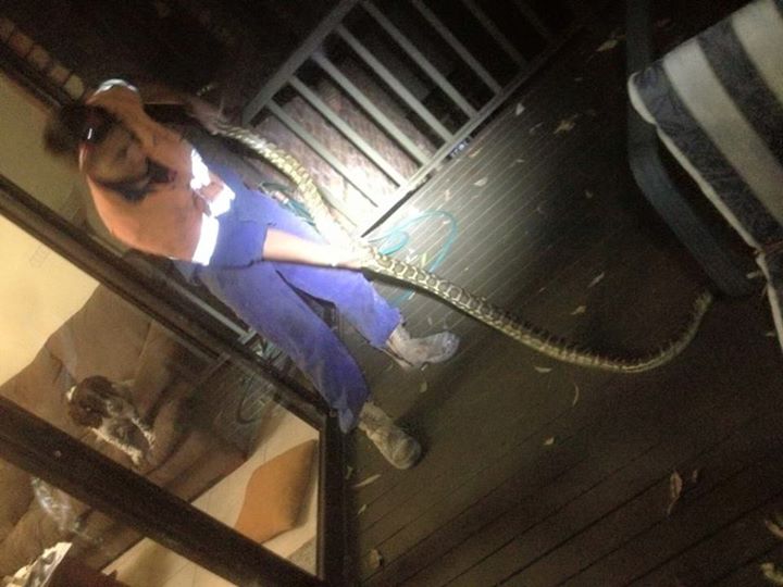 11057614 1461881607435332 6452222296529048746 n - 