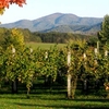 Charlottesville Wine Tours - JnJ Transport