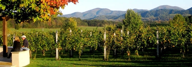 Monticello Wine Trail Charlottesville Wine Tours - JnJ Transport