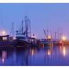 Comox Docks Fog  pano2 2015 - Panorama Images