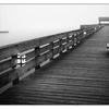 Comox Docks Fog  B&W 2015 - Black & White and Sepia