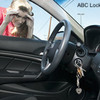 Brandon Locksmith Services - ABC Locksmith Clearwater