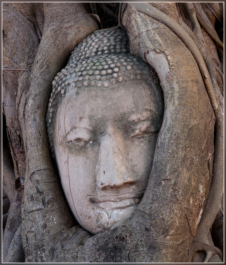 DSC 8817 Ayutthaya Historisch Park 5 kleur kader - 