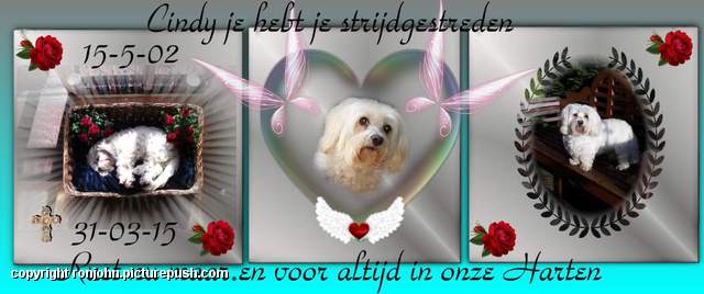 Cindy door Alie 31-03-15 Foto bewerking