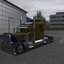 gts P379.RS.ti.edition-kv(h... - USA Trucks  voor GTS