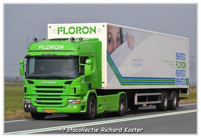 Floron BZ-HG-99 (1)-BorderMaker Richard