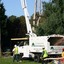 Crownsville Maryland tree r... - A-Fordable Tree Service