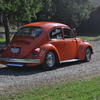 DSC 0156 - The super beetle