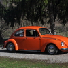 DSC 0169 - The super beetle