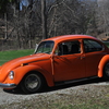 DSC 0190 - The super beetle