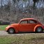 DSC 0226 - The super beetle