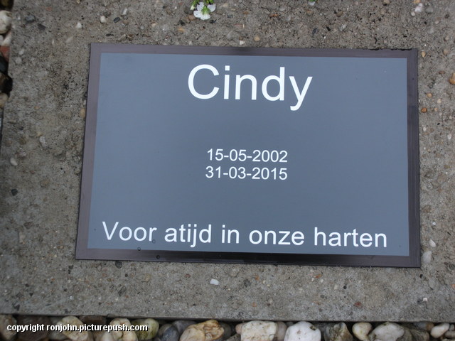Cindy's grafje is klaar 11-04-15 4 R.I.P. Mirza Nicky Lizzy Whitney Cindy